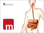 The Human Alimentary System